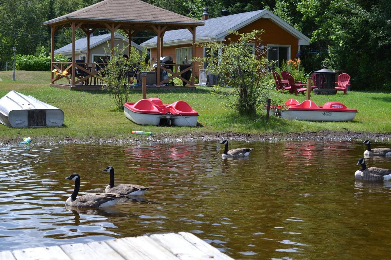 Les 4 Chalets - Le 605 Lac-Saint-Paul 外观 照片